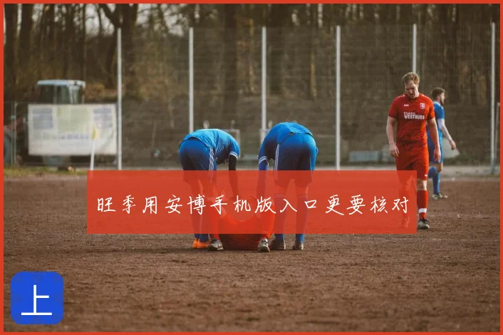 旺季用安博手机版入口更要核对